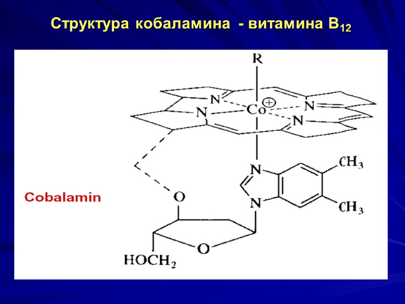 Структура кобаламина - витамина В12 Структура кобаламина - витамина В12